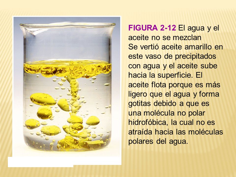 FIGURA 2-12 El agua y el aceite no se mezclan
