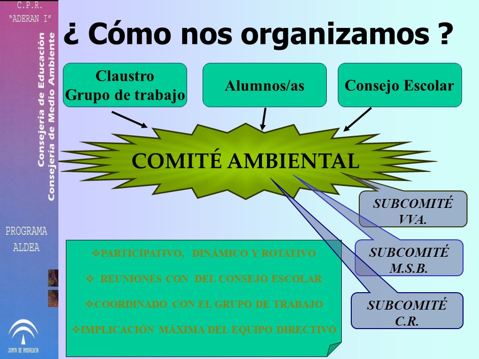 ¿ Cómo nos organizamos COMITÉ AMBIENTAL Claustro Grupo de trabajo