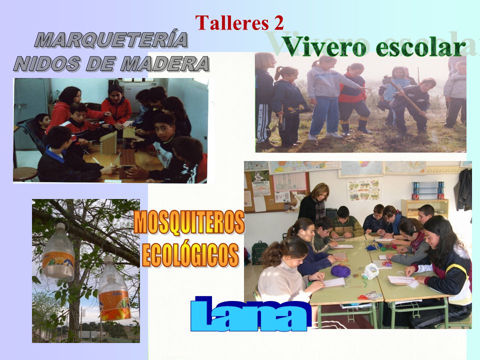 Vivero escolar MOSQUITEROS ECOLÓGICOS Lana Talleres 2 MARQUETERÍA