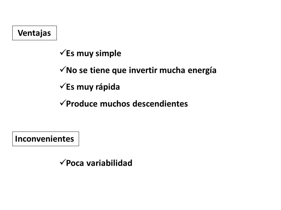 Ventajas Es muy simple. No se tiene que invertir mucha energía. Es muy rápida. Produce muchos descendientes.
