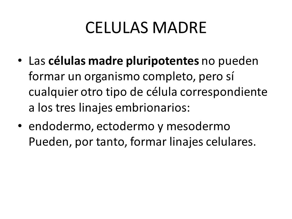 CELULAS MADRE