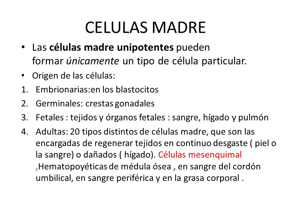 CELULAS MADRE Las células madre unipotentes pueden formar únicamente un tipo de célula particular. Origen de las células: