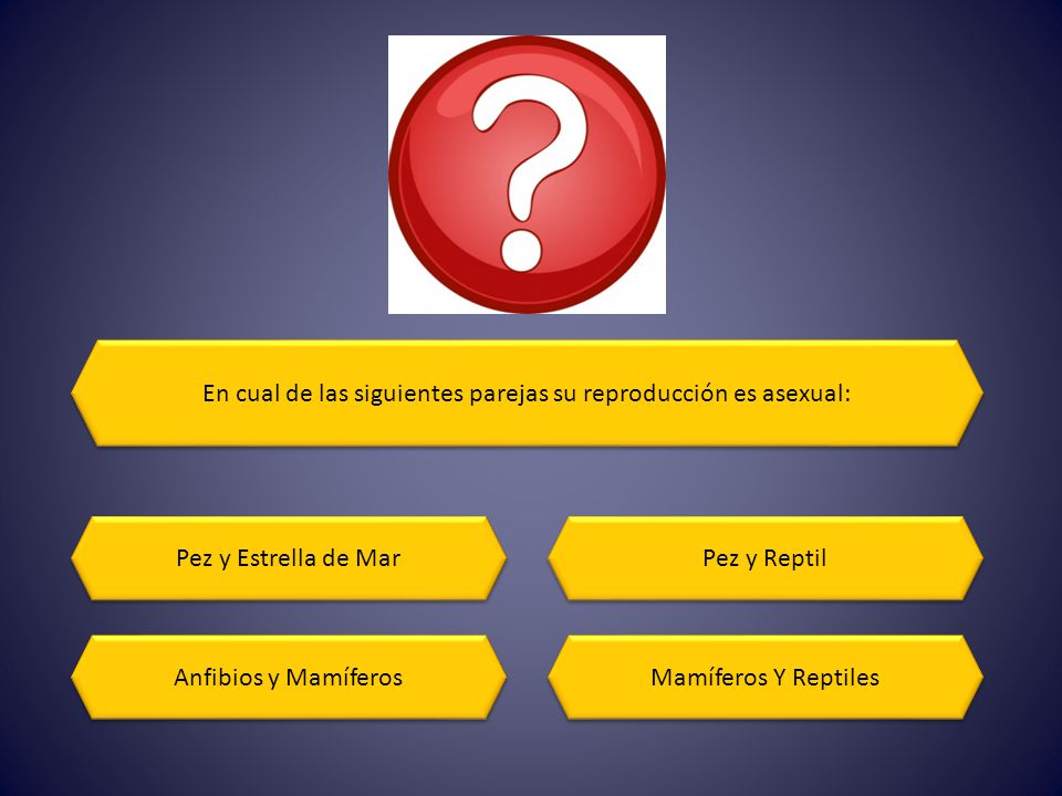 En cual de las siguientes parejas su reproducción es asexual: