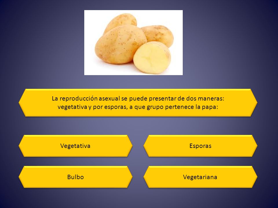 La reproducción asexual se puede presentar de dos maneras: vegetativa y por esporas, a que grupo pertenece la papa: