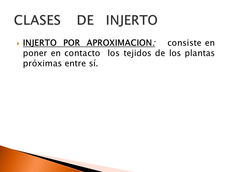 CLASES DE INJERTO INJERTO POR APROXIMACION: consiste en poner en contacto los tejidos de los plantas próximas entre sí.