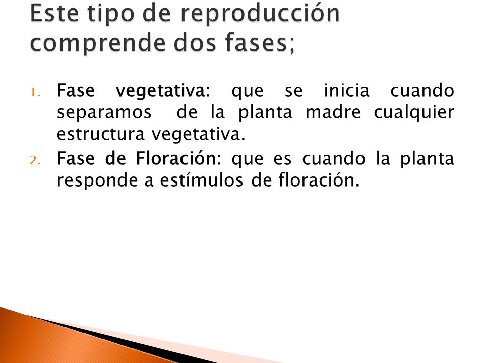 Este tipo de reproducción comprende dos fases;