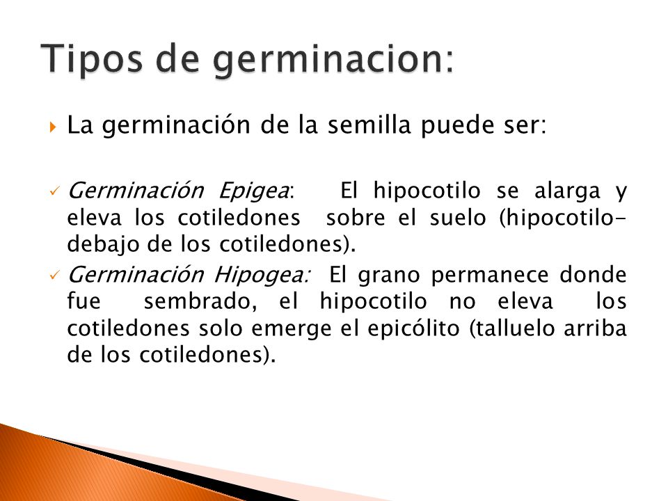 Tipos de germinacion: La germinación de la semilla puede ser:
