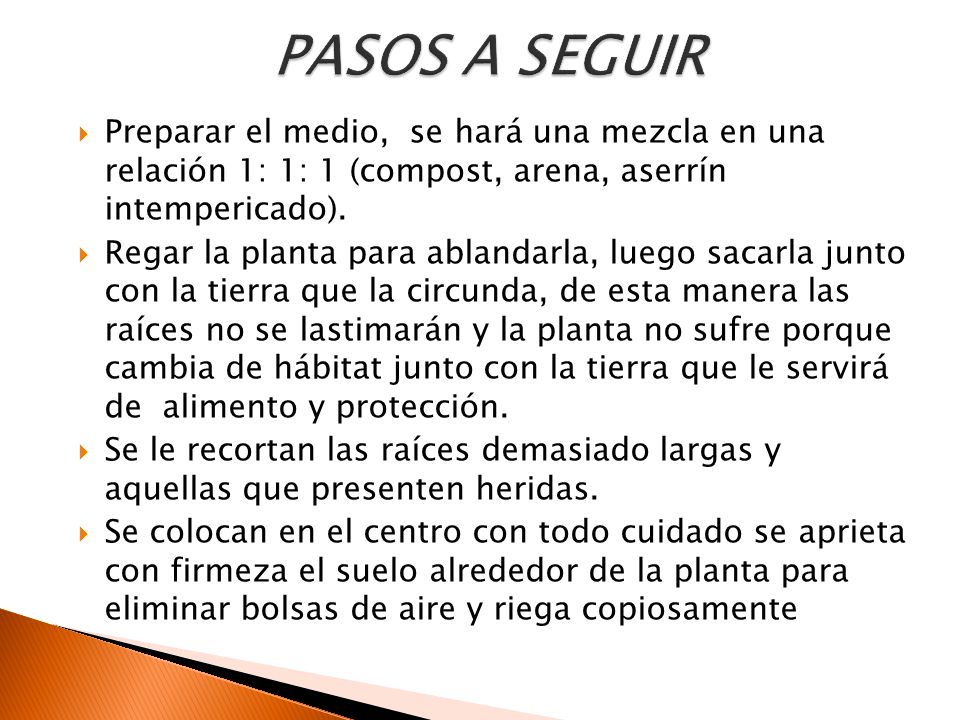 PASOS A SEGUIR Preparar el medio, se hará una mezcla en una relación 1: 1: 1 (compost, arena, aserrín intempericado).