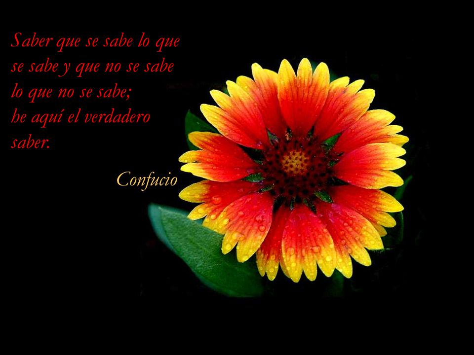 Saber que se sabe lo que se sabe y que no se sabe lo que no se sabe; he aquí el verdadero saber.