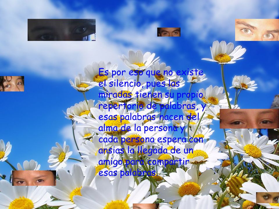 Es por eso que no existe el silencio, pues las miradas tienen su propio repertorio de palabras, y esas palabras nacen del alma de la persona y cada persona espera con ansias la llegada de un amigo para compartir esas palabras.