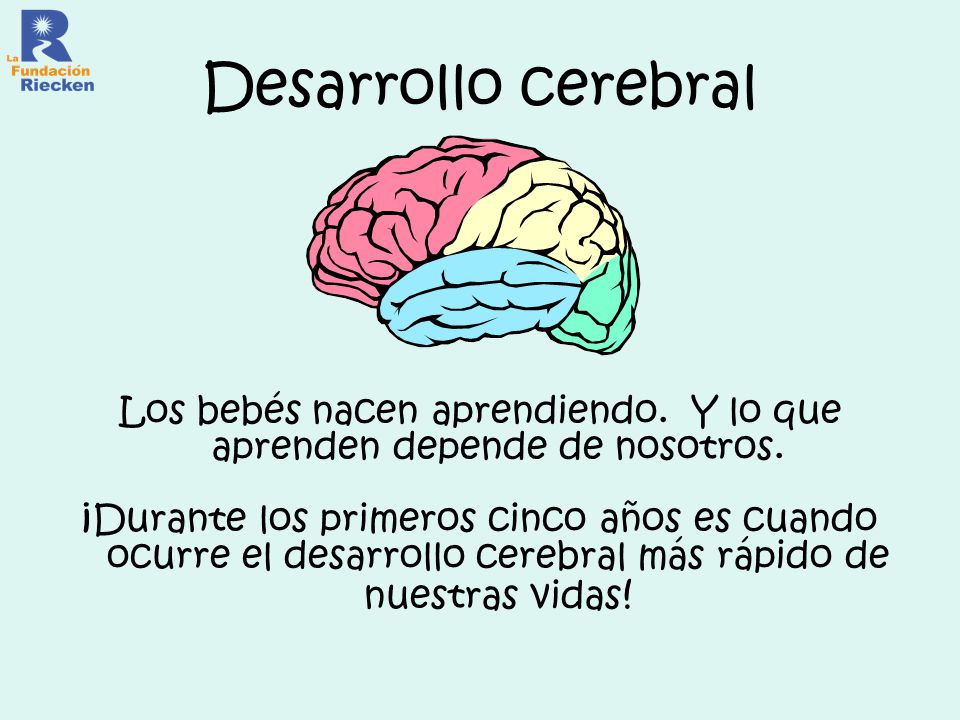 Los bebés nacen aprendiendo. Y lo que aprenden depende de nosotros.