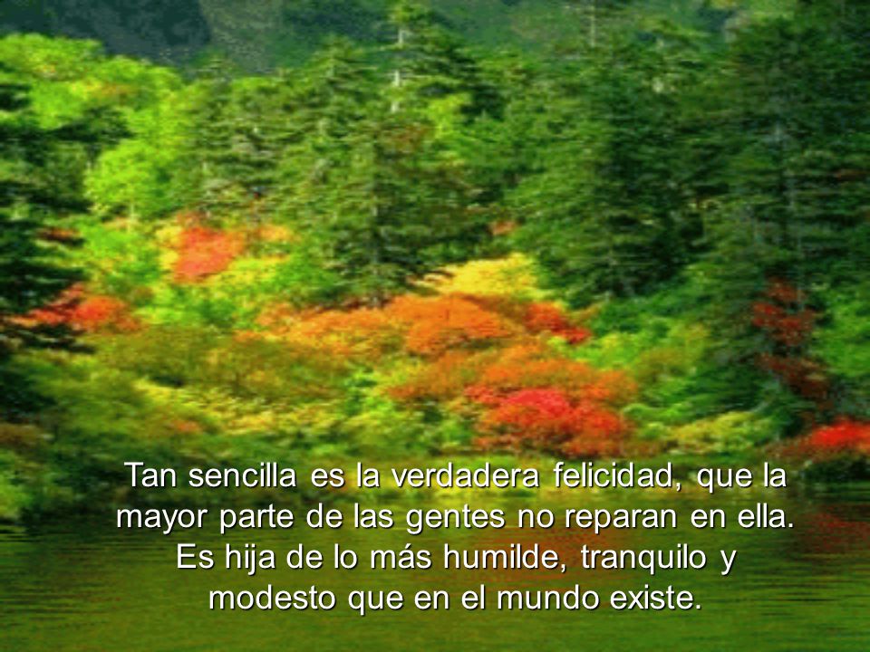 Tan sencilla es la verdadera felicidad, que la mayor parte de las gentes no reparan en ella.
