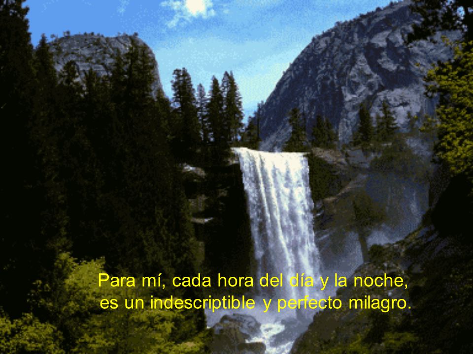 Para mí, cada hora del día y la noche,