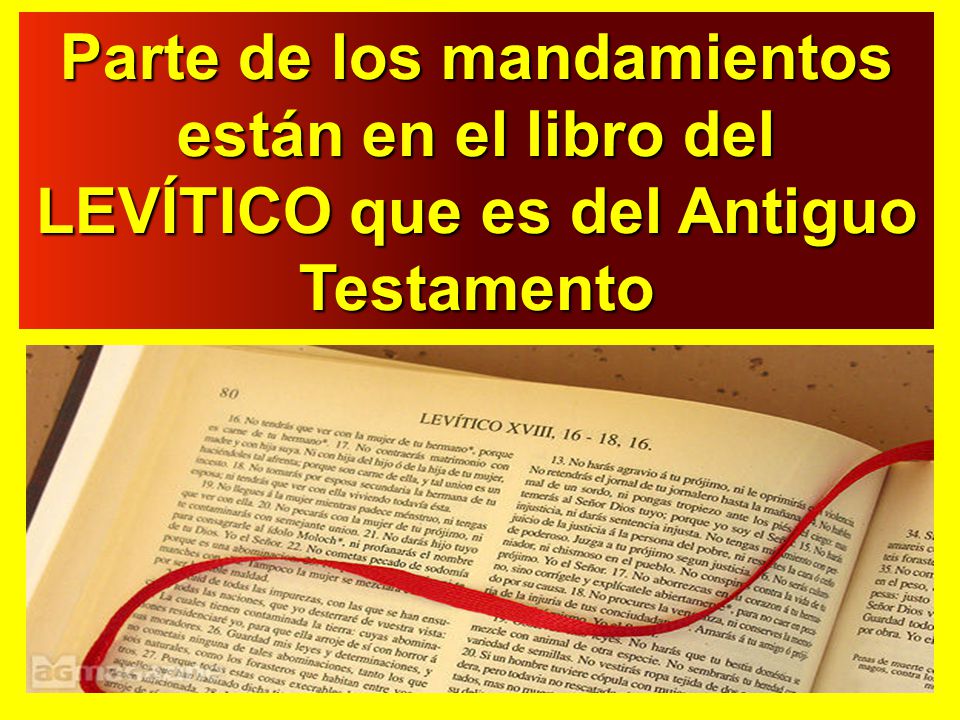 Parte de los mandamientos están en el libro del LEVÍTICO que es del Antiguo Testamento