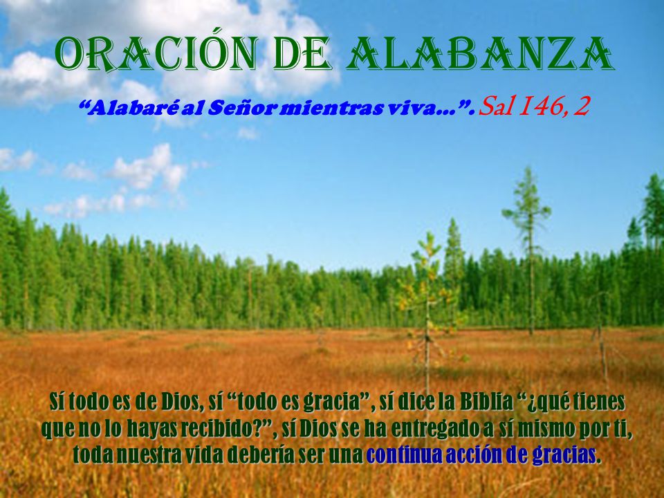 Alabaré al Señor mientras viva… . Sal 146, 2