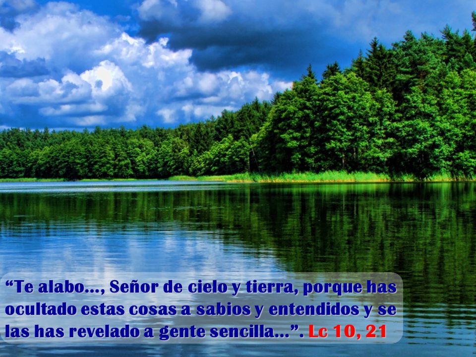 Te alabo…, Señor de cielo y tierra, porque has ocultado estas cosas a sabios y entendidos y se las has revelado a gente sencilla… .
