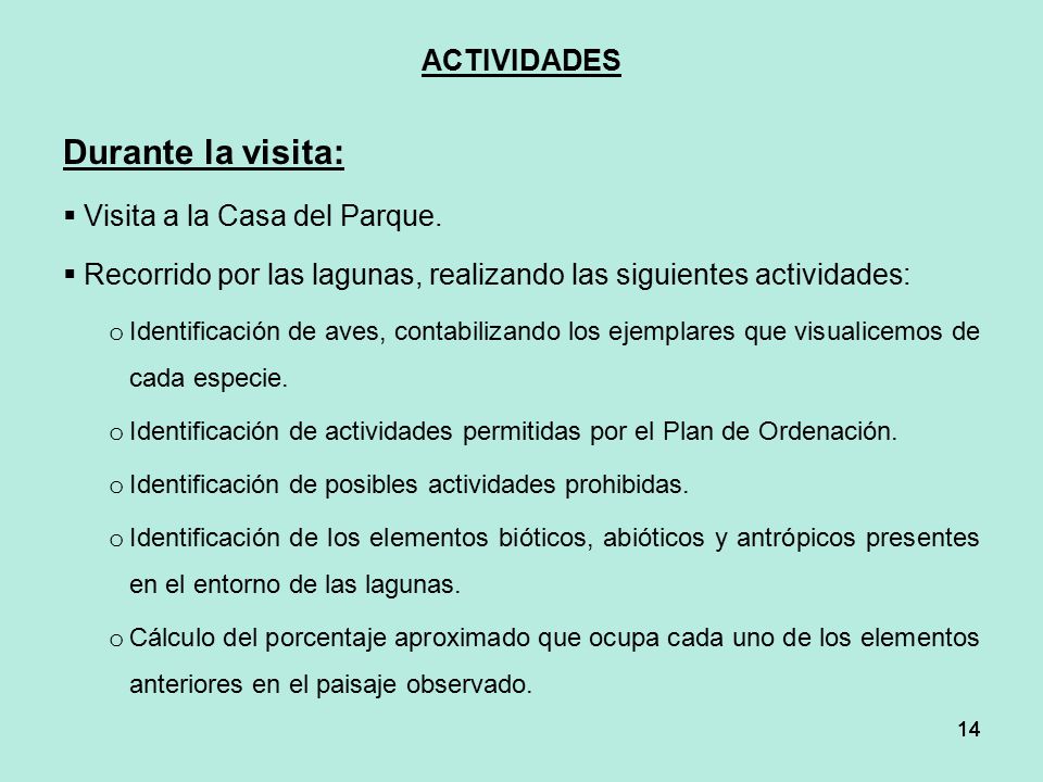 Durante la visita: ACTIVIDADES Visita a la Casa del Parque.