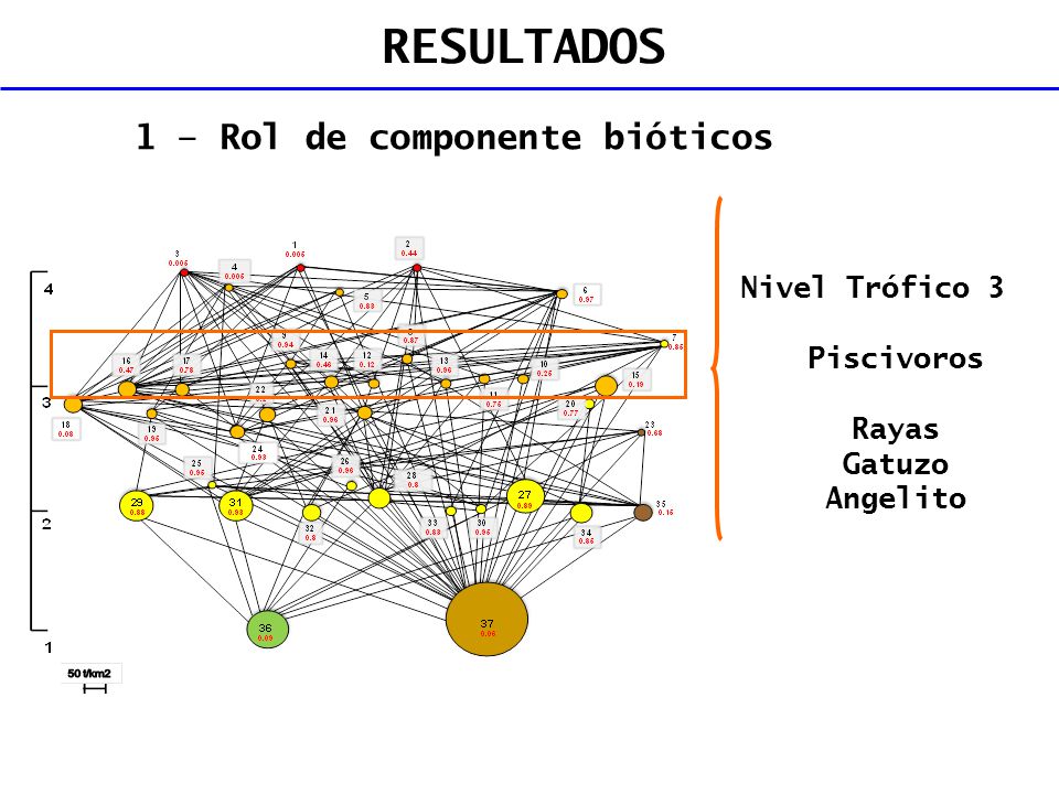 RESULTADOS 1 – Rol de componente bióticos Nivel Trófico 3 Piscivoros