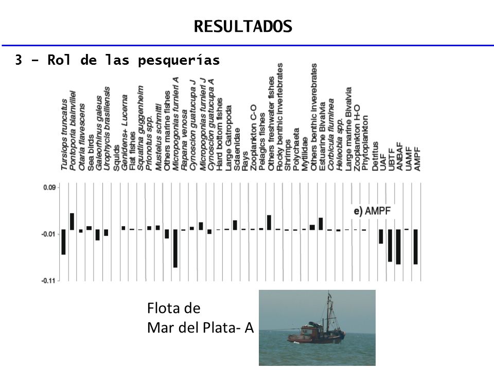 RESULTADOS 3 – Rol de las pesquerías Flota de Mar del Plata- A