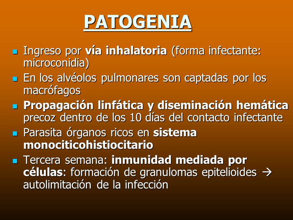 PATOGENIA Ingreso por vía inhalatoria (forma infectante: microconidia)