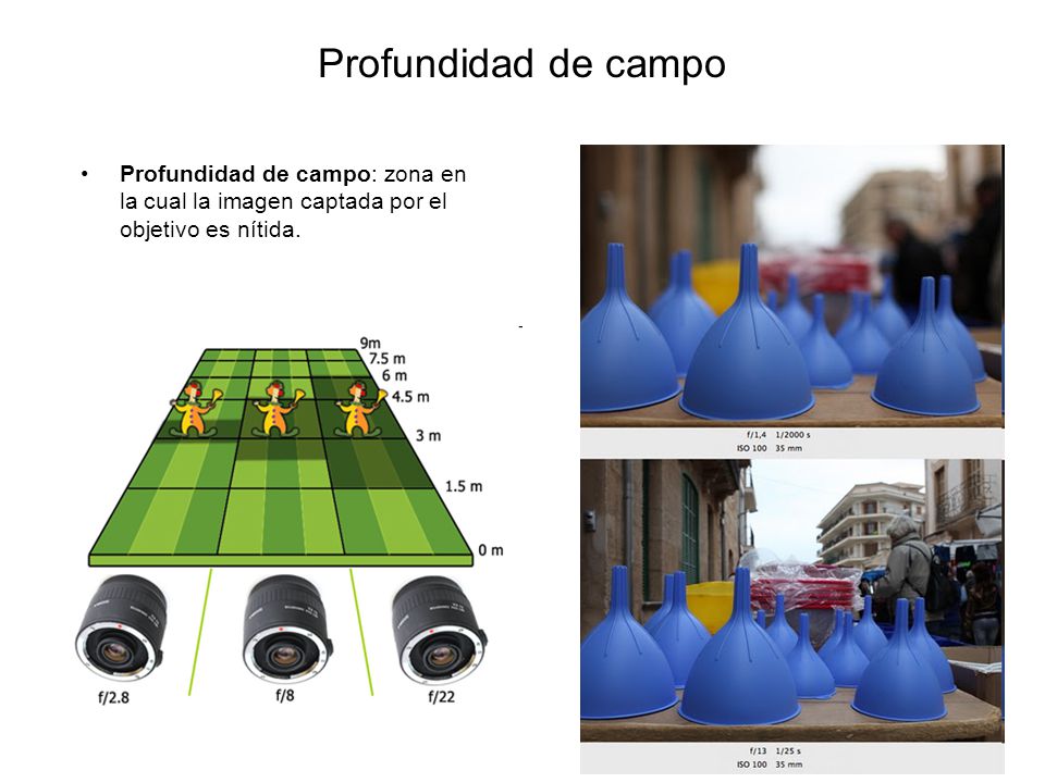 Profundidad de campo Profundidad de campo: zona en la cual la imagen captada por el objetivo es nítida.