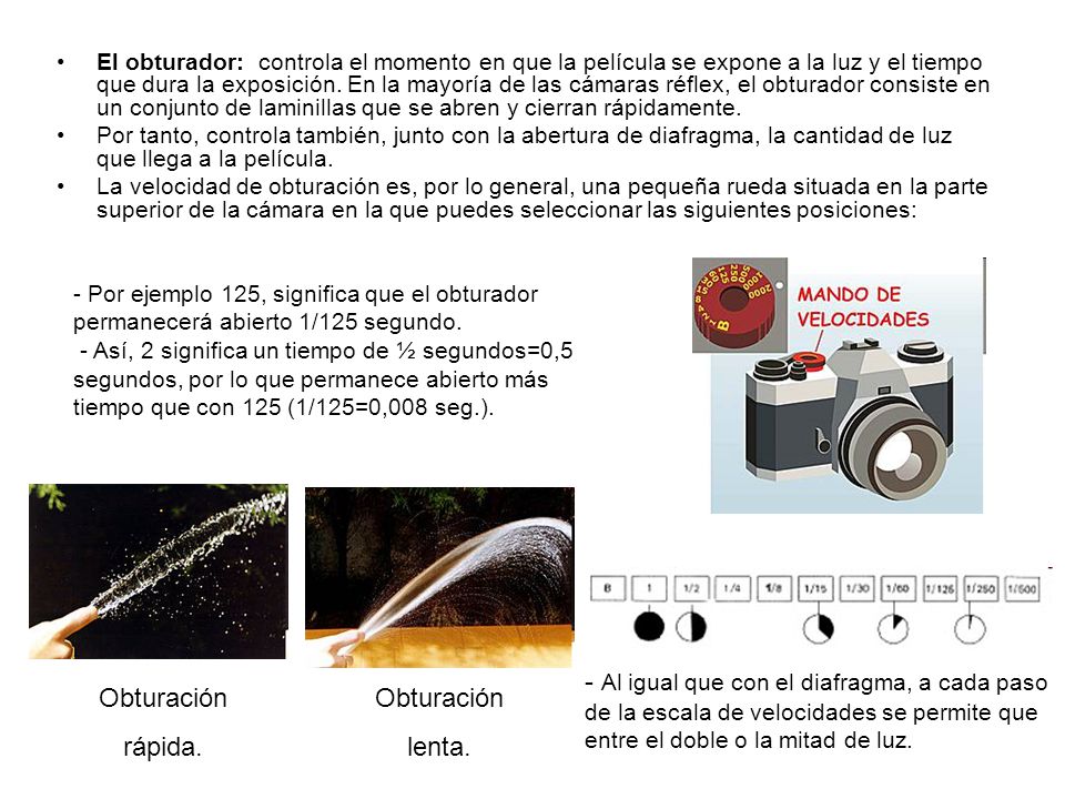 El obturador: controla el momento en que la película se expone a la luz y el tiempo que dura la exposición. En la mayoría de las cámaras réflex, el obturador consiste en un conjunto de laminillas que se abren y cierran rápidamente.