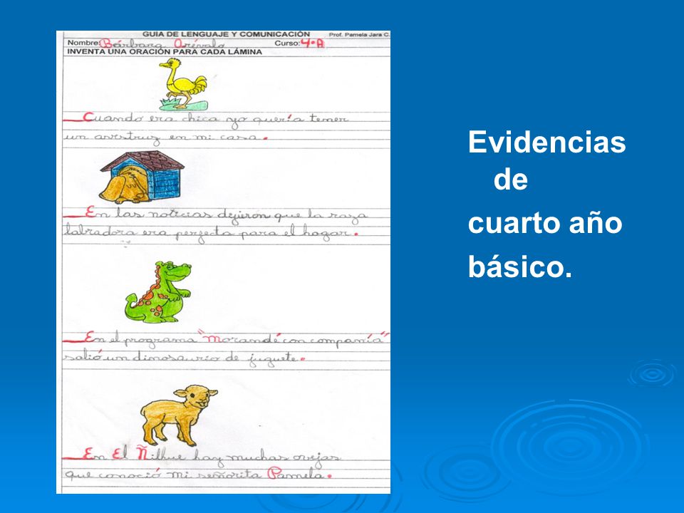 Evidencias de cuarto año básico.