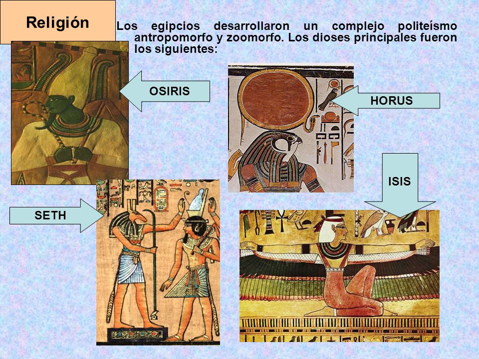 Religión Los egipcios desarrollaron un complejo politeísmo antropomorfo y zoomorfo. Los dioses principales fueron los siguientes: