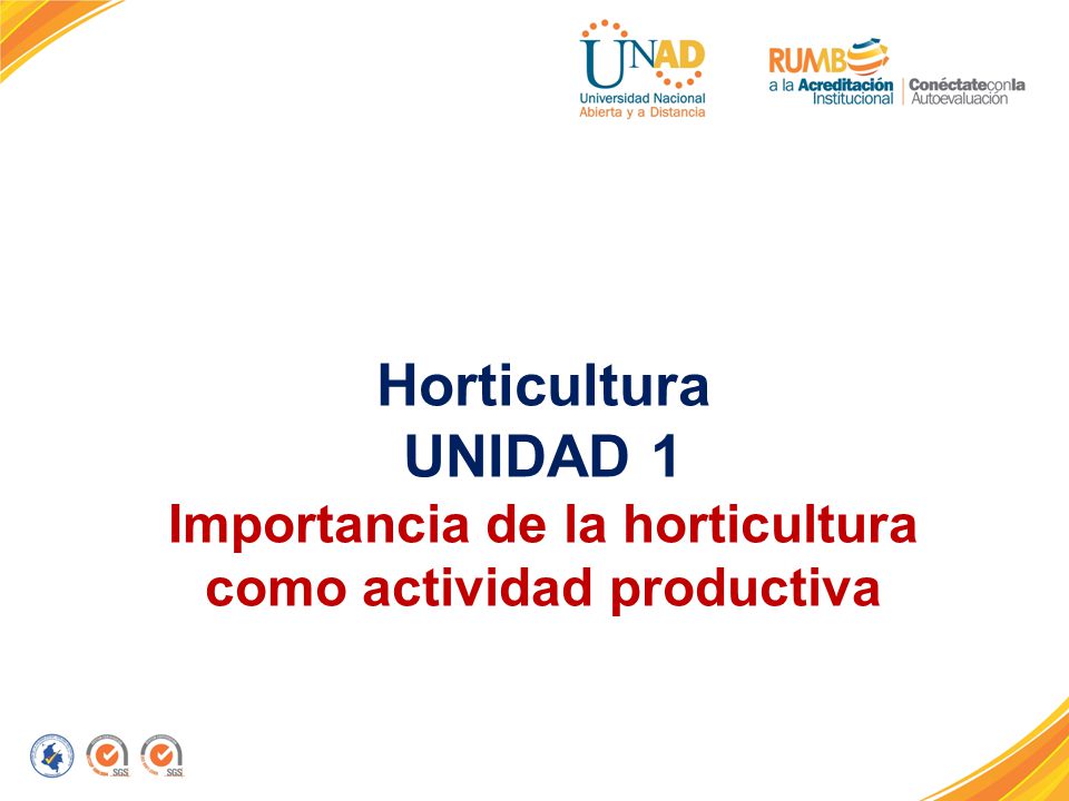 Importancia de la horticultura como actividad productiva