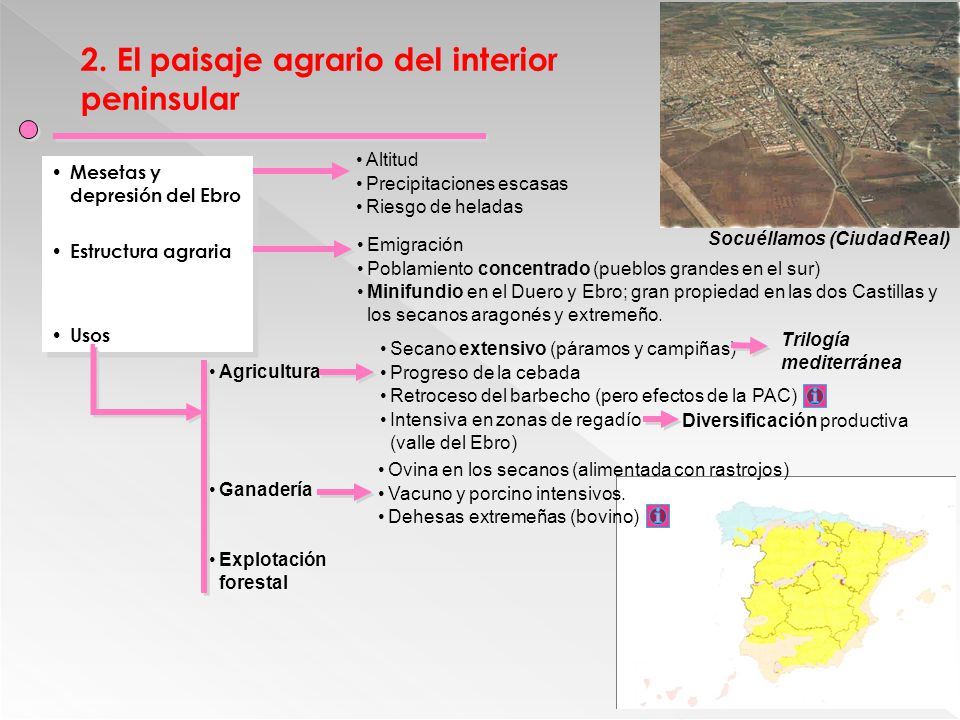2. El paisaje agrario del interior peninsular