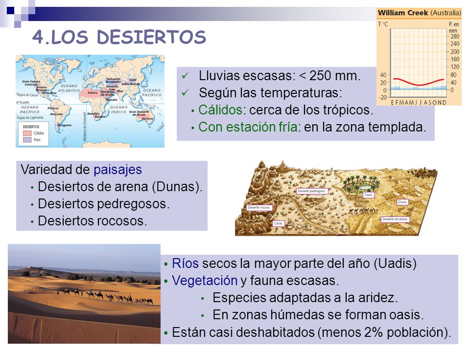 4.LOS DESIERTOS Lluvias escasas: < 250 mm. Según las temperaturas: