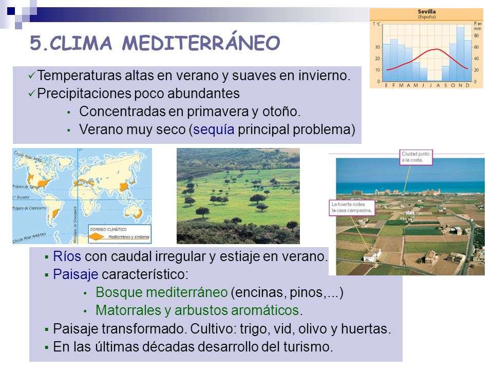 5.CLIMA MEDITERRÁNEO Temperaturas altas en verano y suaves en invierno. Precipitaciones poco abundantes.