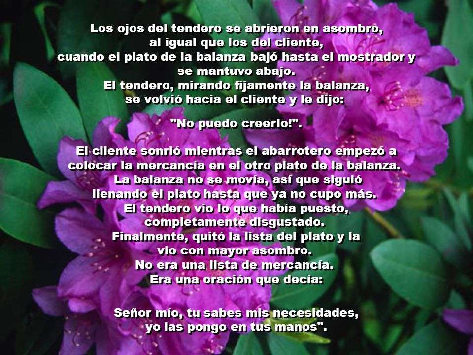 Señor mío, tu sabes mis necesidades, yo las pongo en tus manos .