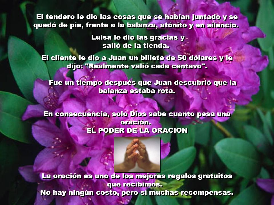 Luisa le dio las gracias y salió de la tienda.