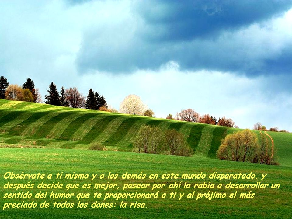 Obsérvate a ti mismo y a los demás en este mundo disparatado, y después decide que es mejor, pasear por ahí la rabia o desarrollar un sentido del humor que te proporcionará a ti y al prójimo el más preciado de todos los dones: la risa.