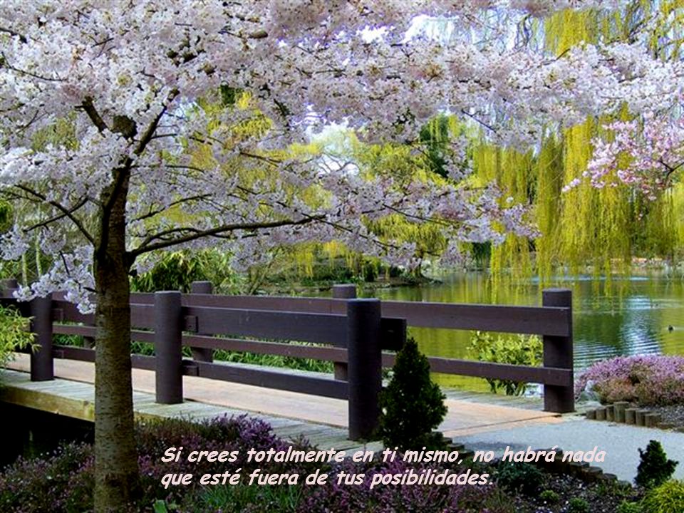 Si crees totalmente en ti mismo, no habrá nada que esté fuera de tus posibilidades.