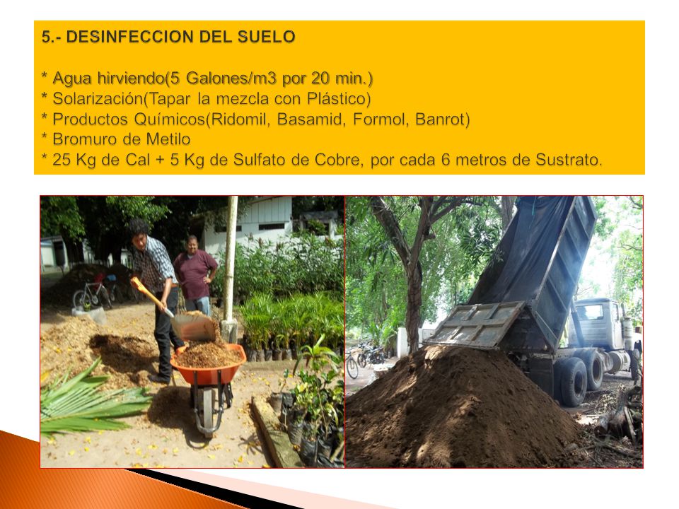 5. - DESINFECCION DEL SUELO. Agua hirviendo(5 Galones/m3 por 20 min. )