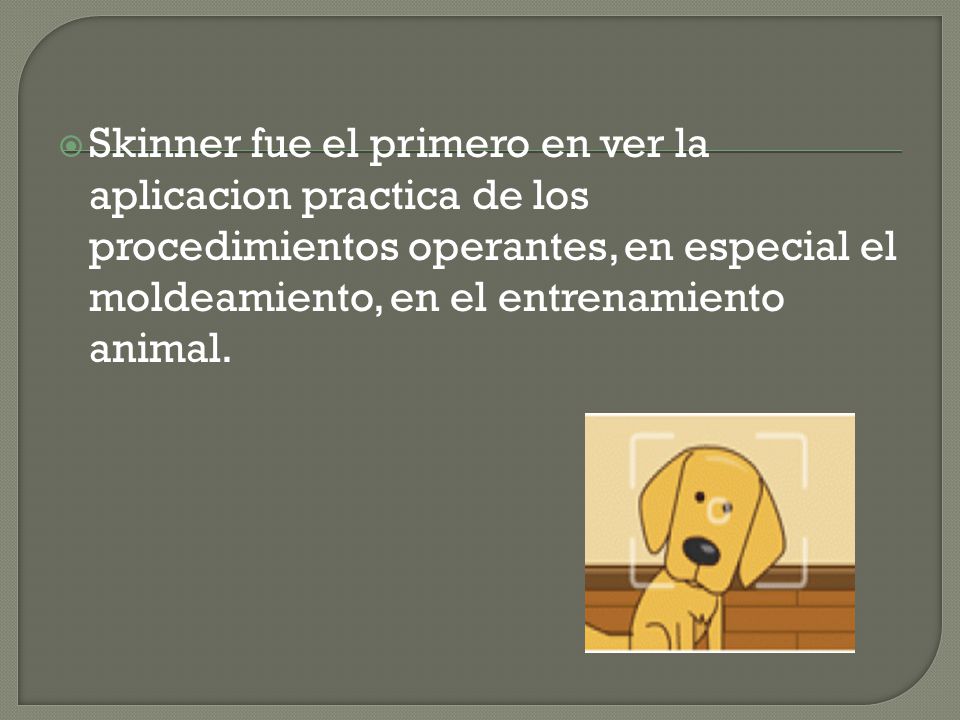 Skinner fue el primero en ver la aplicacion practica de los procedimientos operantes, en especial el moldeamiento, en el entrenamiento animal.