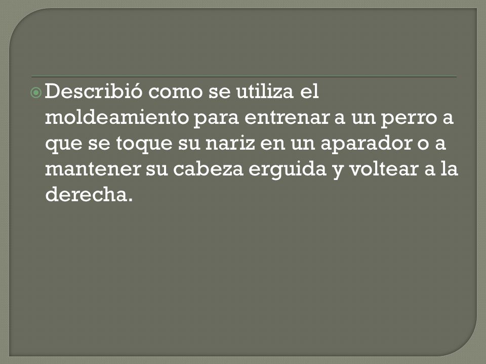 Describió como se utiliza el moldeamiento para entrenar a un perro a que se toque su nariz en un aparador o a mantener su cabeza erguida y voltear a la derecha.