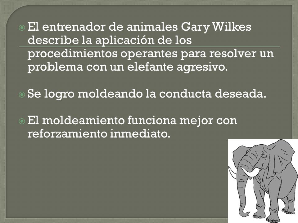 El entrenador de animales Gary Wilkes describe la aplicación de los procedimientos operantes para resolver un problema con un elefante agresivo.