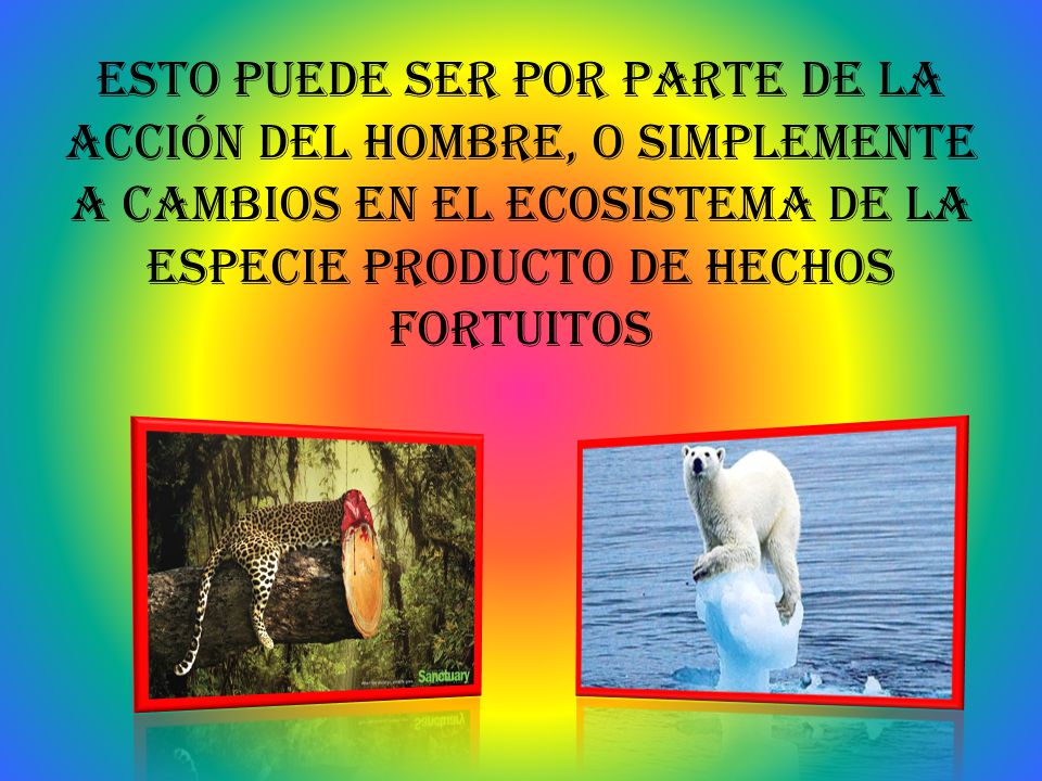 Esto puede ser por parte de la acción del hombre, o simplemente a cambios en el ecosistema de la especie producto de hechos fortuitos