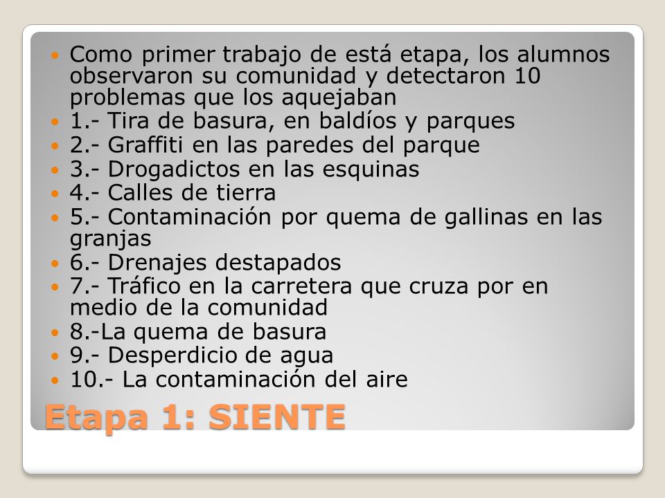 Como primer trabajo de está etapa, los alumnos observaron su comunidad y detectaron 10 problemas que los aquejaban