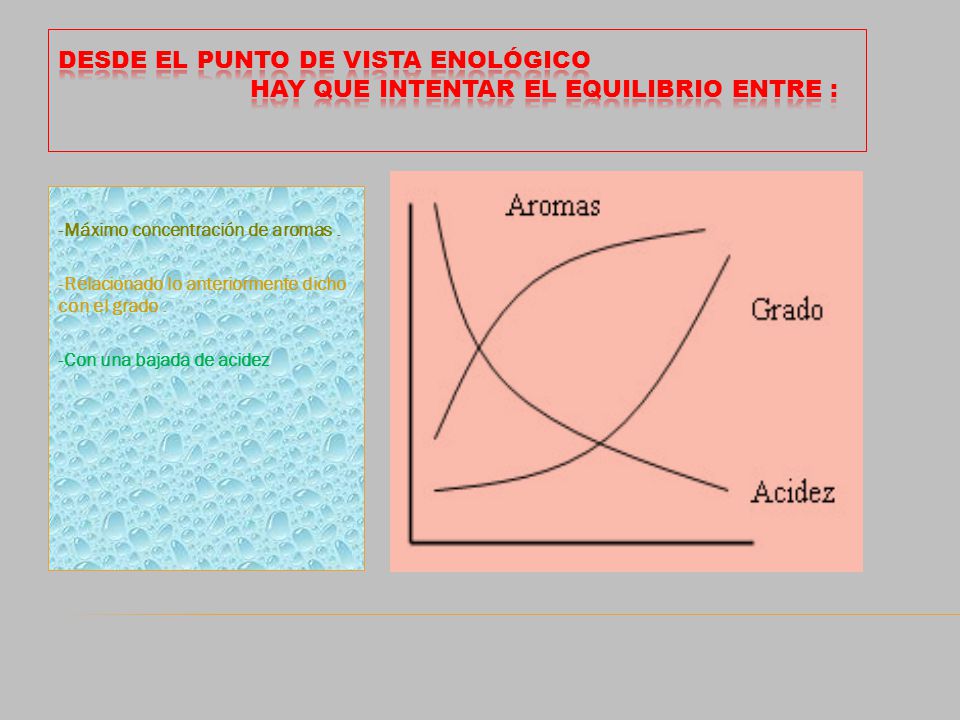 Desde el punto de vista enológico Hay que Intentar el equilibrio entre :