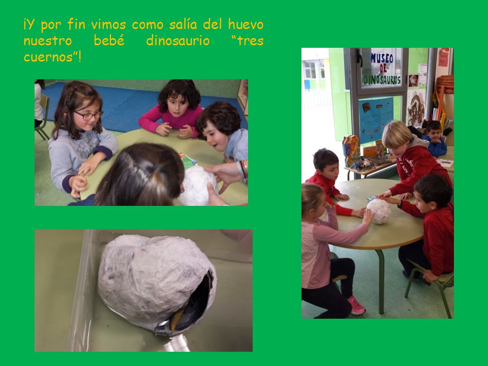 ¡Y por fin vimos como salía del huevo nuestro bebé dinosaurio tres cuernos !