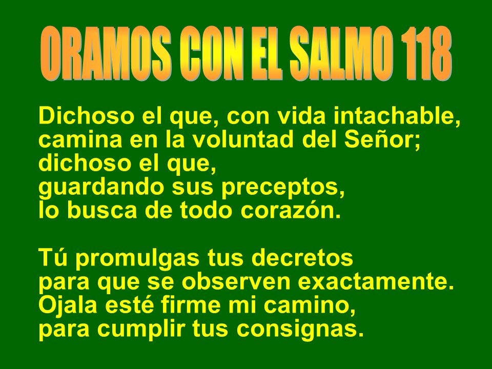 ORAMOS CON EL SALMO 118 Dichoso el que, con vida intachable, camina en la voluntad del Señor; dichoso el que,