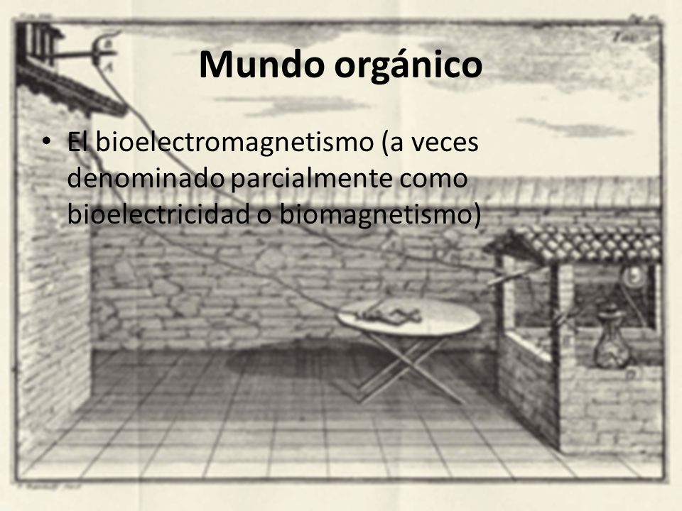 Mundo orgánico El bioelectromagnetismo (a veces denominado parcialmente como bioelectricidad o biomagnetismo)