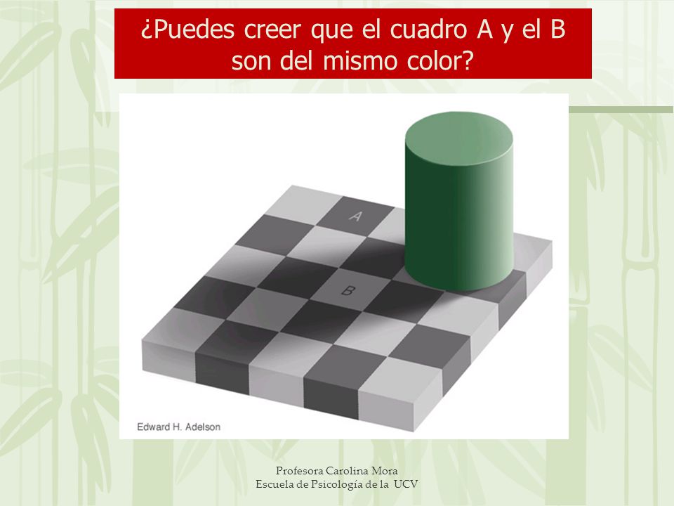 ¿Puedes creer que el cuadro A y el B son del mismo color