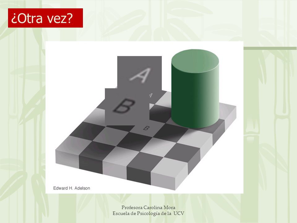 Profesora Carolina Mora Escuela de Psicología de la UCV