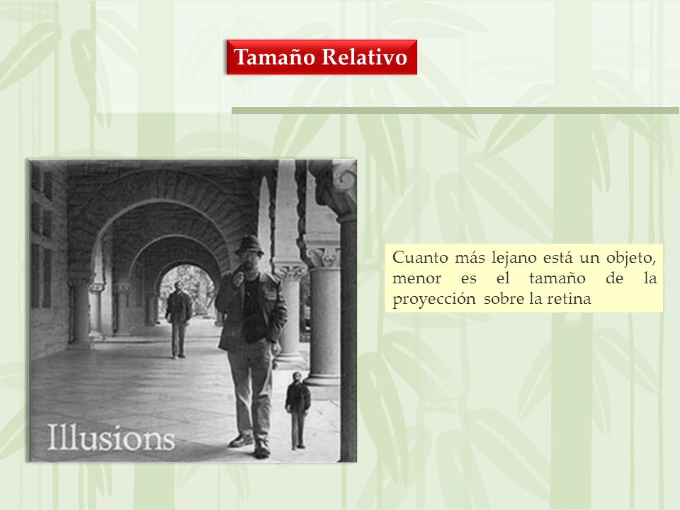 Tamaño Relativo Cuanto más lejano está un objeto, menor es el tamaño de la proyección sobre la retina.