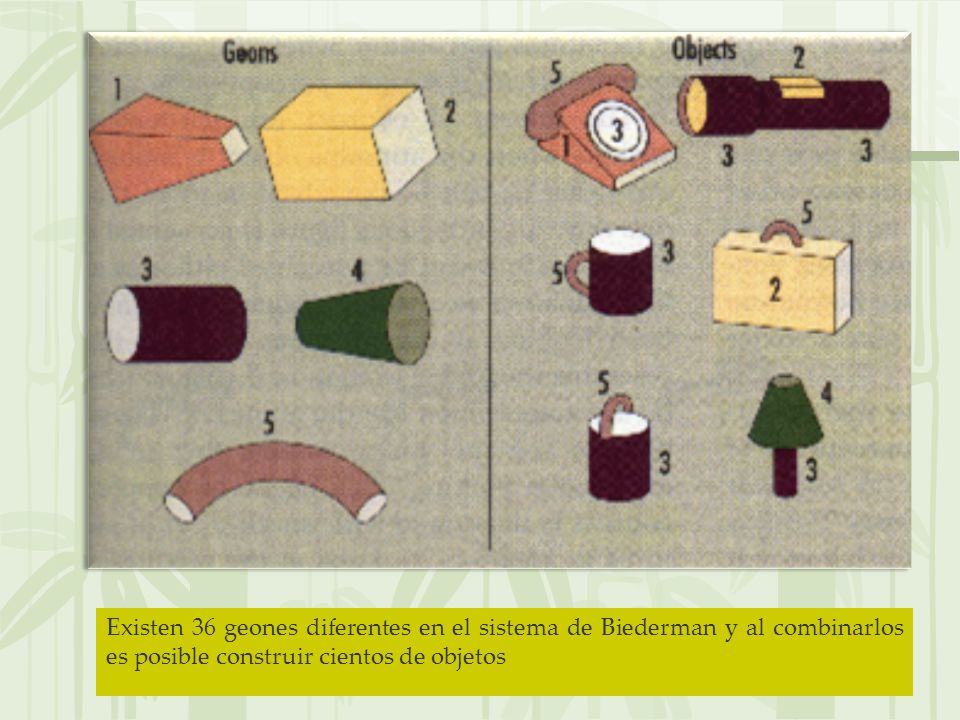 Existen 36 geones diferentes en el sistema de Biederman y al combinarlos es posible construir cientos de objetos